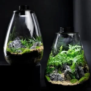 Bioscape Nano Moss Terrarium 175 Rounded 3w