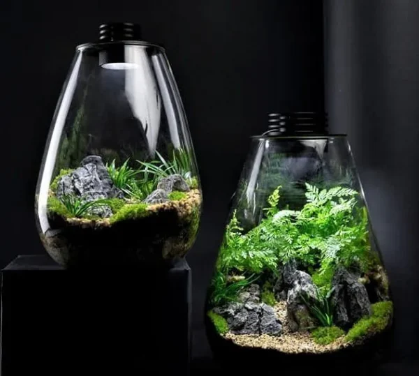 Bioscape Nano Moss Terrarium 175 Rounded 3w